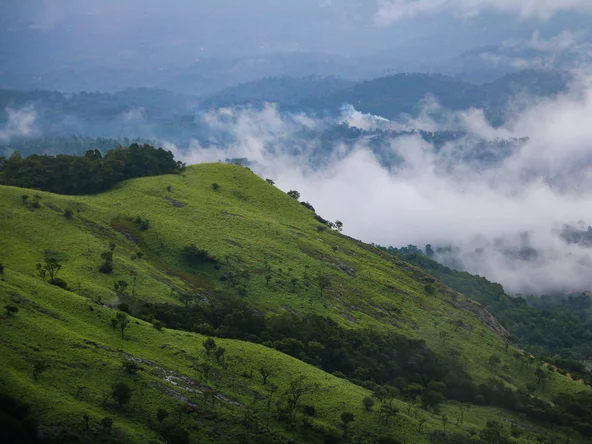 Wayanad