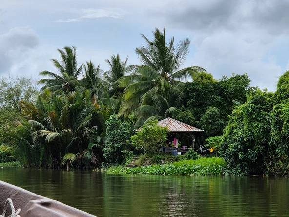 Borneo river cruise near Bako National Park