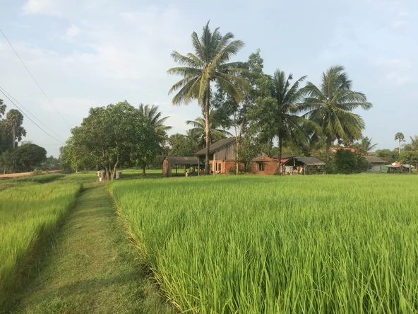 A farmstay in Kampot amongst luscious green grass in the countryside of Cambodia