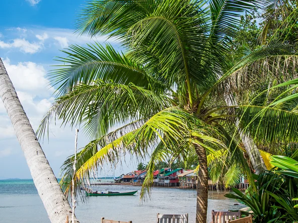 Beachside restaurant seating under a palm tree on a quiet beach in Kep, Cambodia