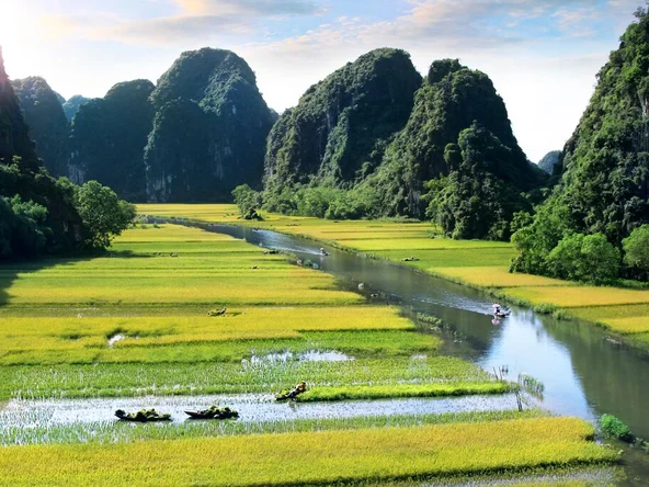 Panoramic landscape of Ninh Binh in Vietnam with vibrant rice fields, calm river, and dramatic limestone cliffs surrounded by greenery