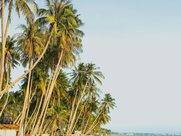 Traditional round Vietnamese boats on the coast of Mui Ne one of the best kitesurfing spots in Vietnam