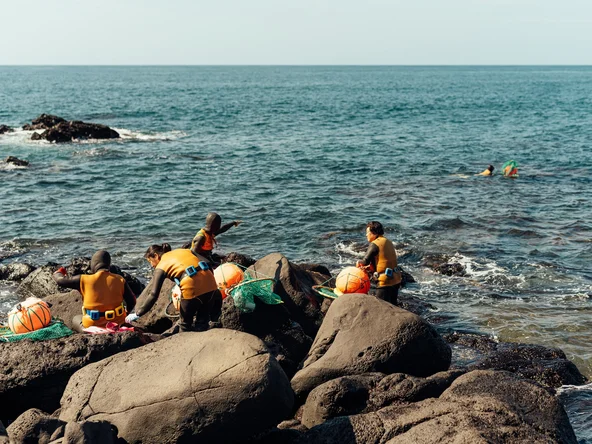 © Mark Parren Taylor Jeju Island Mermaid divers