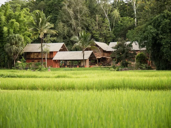 Ahsa Farm Stay Exterior