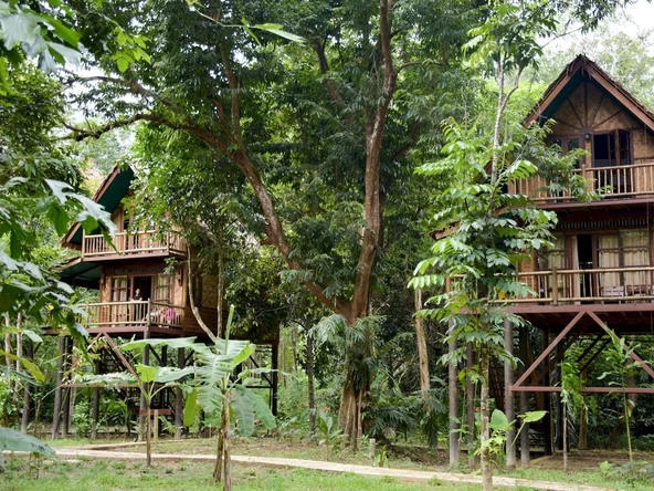 Our Jungle Camp Tree House