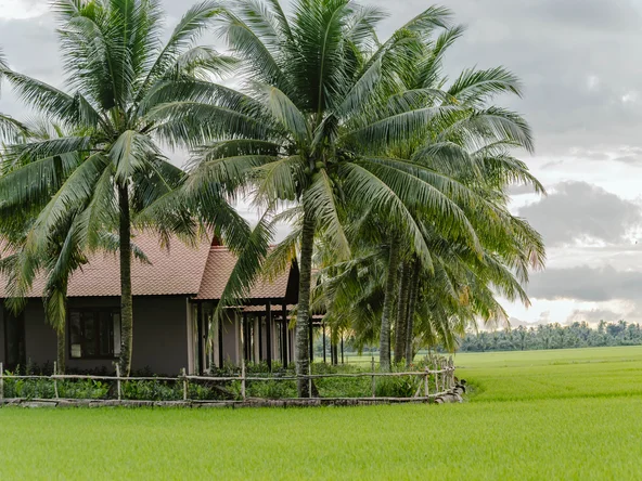 Thala Tra Vinh Junior Suite