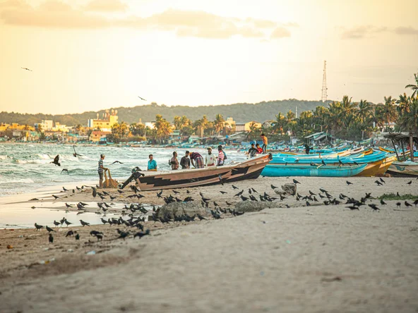 Fishing Boats, Trincomalee, Sri Lanka