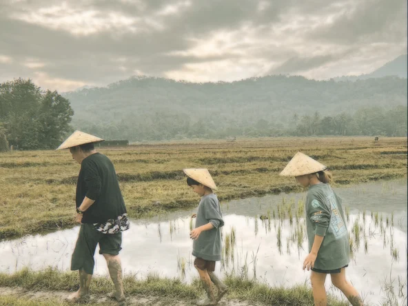 Children walking through a rice paddy