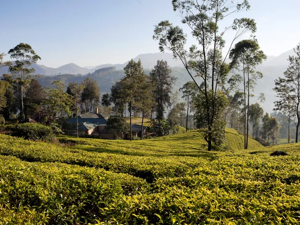 Ceylon Tea Trails - Norwood Bungalow, Hatton, Sri Lanka