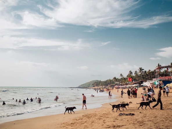 Baga Beach, Goa, India