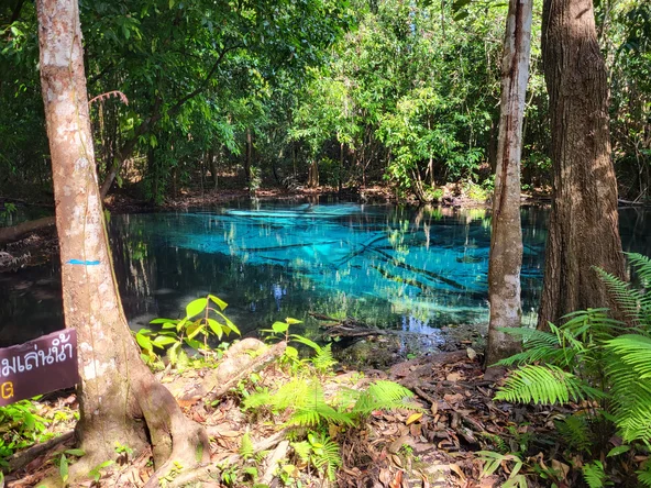 A bright blue lagoon, surrounded by overgrown trees