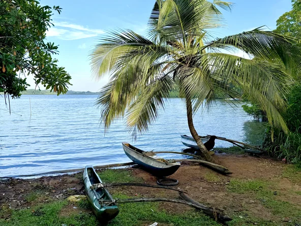 South Coast