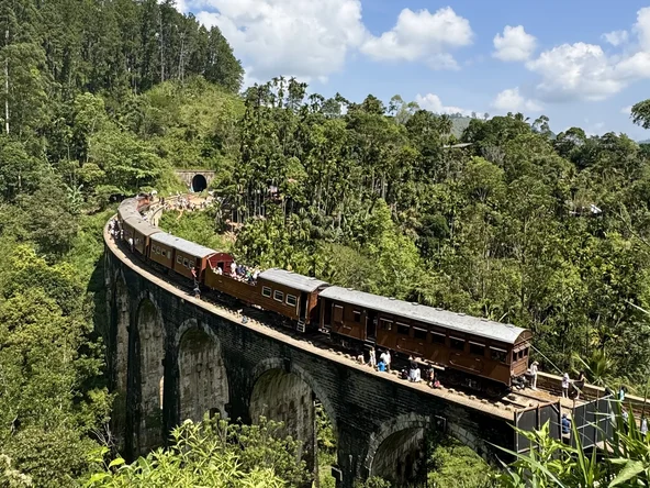 Ella Train