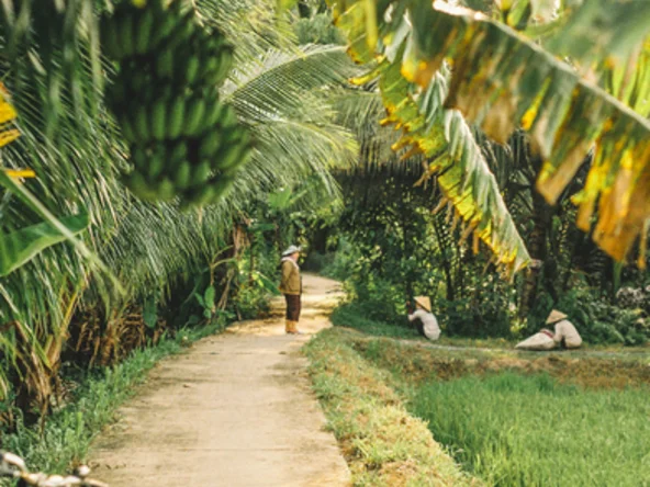 A person stands on a concrete path with palm trees overhead
