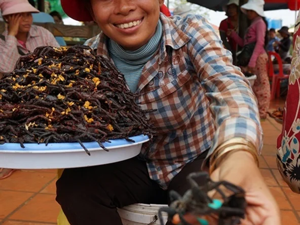 Deep fried tarantula