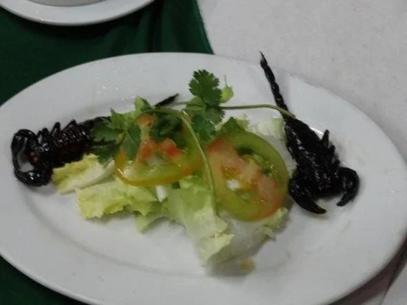 Freshly cooked scorpions!