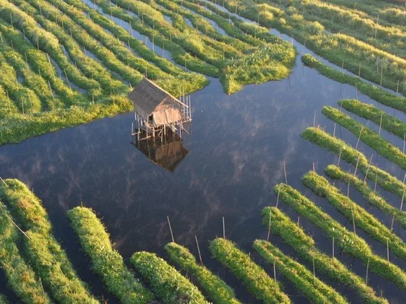 Floating farm
