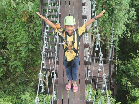 Flight of the Gibbon