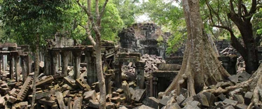 Siem Reap Province - Beng Mealea_5783