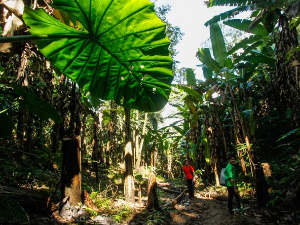 NEPL-nests-trail-2016-43