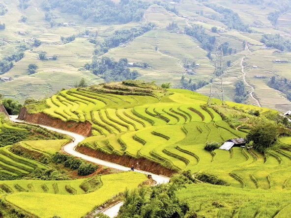 Rice paddies in Sapa