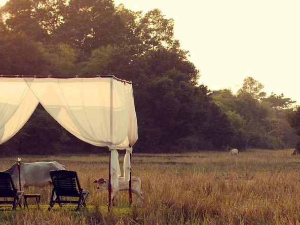 Fine dining in Cambodia