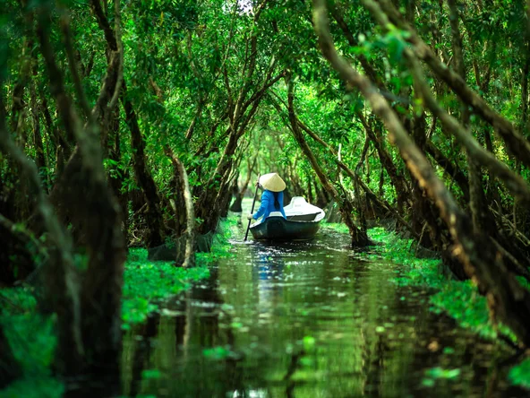 tra su forest vietnam boat on water