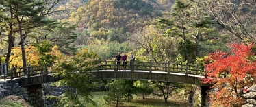 Hiking in Korea