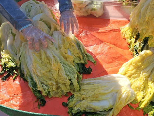 making kimchi