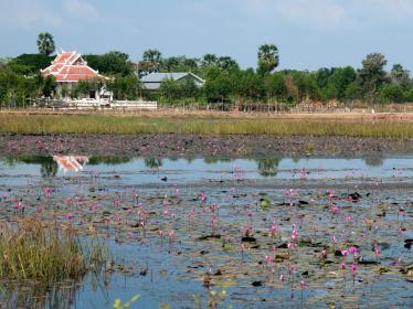 Banteay Chhmar countryside