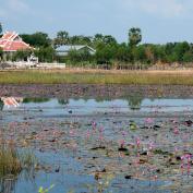 Banteay Chhmar countryside