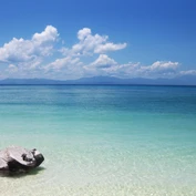 Sea