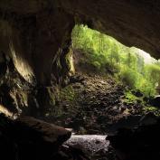 Deer Cave at Mulu National Park