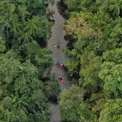 Aerial view of kayakers in Botum Sakor National Park