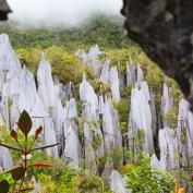 Trekking in the Pinnacles in Mulu National Park