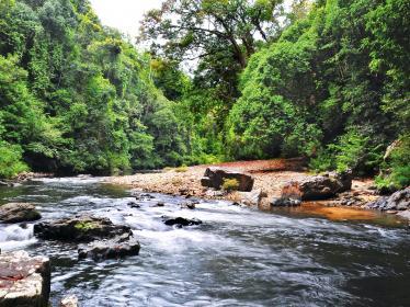 River in Taman Negara