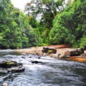 River in Taman Negara