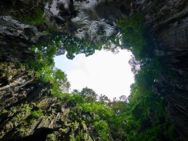 Looking up from Mulu's caves