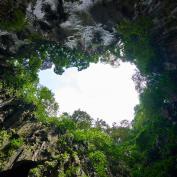 Looking up from Mulu's caves