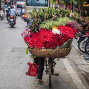 Flowers balanced on bicycle in Hanoi