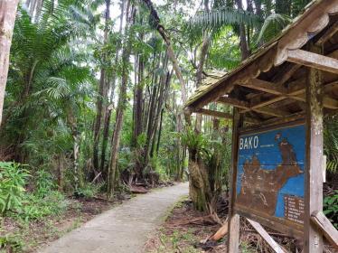 Hiking trail in Bako National Park