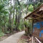 Hiking trail in Bako National Park