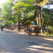 Cart in Kratie