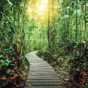 Boardwalk at Danum Valley