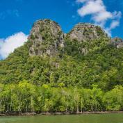 Mangrove forests of Langkawi