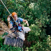 Suspended from tree in Laos 