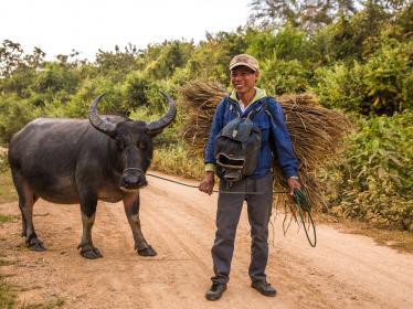 Man and buffalo in Mekong