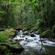 Mulu Headhunters Trail