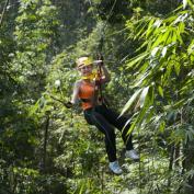 Ziplining at Angkor Wat