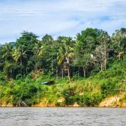 Riverbank in Taman Negara National Park